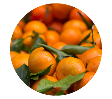 Clementine Essential Oil Discount