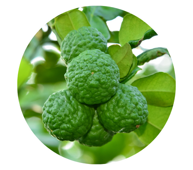 Bergamot Essential Oil For Cheap