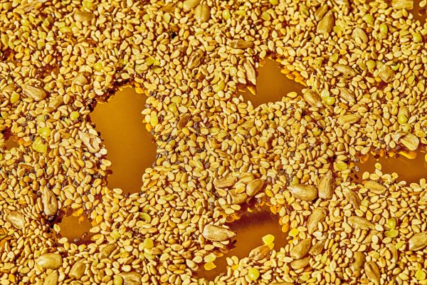 Sesame Sunflower Seed Cycle Blend Supply