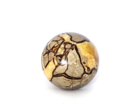 Septarian Dragon Sphere on Sale