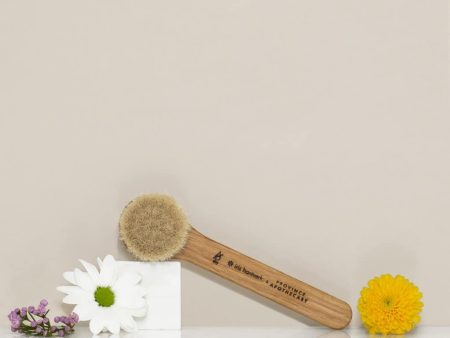 Daily Glow Facial Dry Brush Cheap